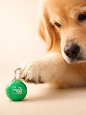 New! Credelio Plus Green Clip-On Collar Light